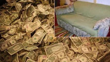 &Ouml;ğrencilerin sudan ucuza aldıkları ikinci el koltuktan servet &ccedil;ıktı