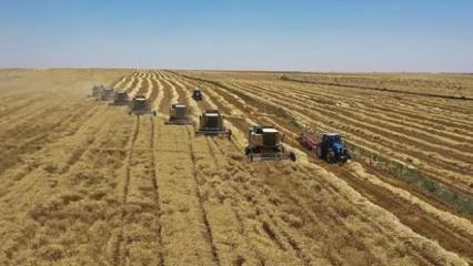 Yem sanayicilerinden yeni karar! Fiyatlar sabit kalacak