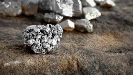 Zirveyi altında sananlar yanıldı! En y&uuml;ksek getiri sağlayan madenler belli oldu