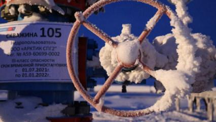 AB, Rusya'dan gaz ithalatını sonlandırmaya onay verdi