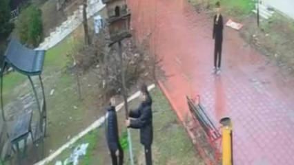 Bunu neden yaptınız? Parktaki kuş yuvasını par&ccedil;aladılar
