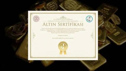 Altın S1 taban oldu, yatırımcılar ekrana kilitlendi