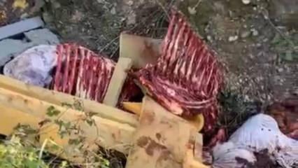 At kestikleri &ouml;ne s&uuml;r&uuml;len 2 ş&uuml;pheli, operasyonla yakalandı