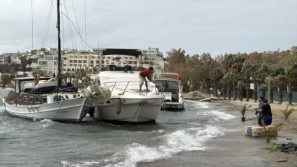 Bodrum'da fırtına: Tekneler karaya oturdu, feribot seferi iptal edildi