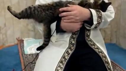 Camiye giren kedinin Kur'an okuyan imamın kucağına uzandığı anlar y&uuml;rekleri ısıttı