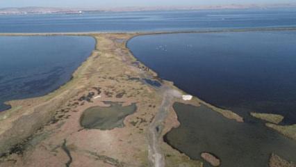 D&uuml;nya genelinde s&uuml;ren sulak alan kaybı, k&uuml;resel ekonomiyi tehdit ediyor