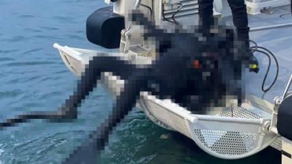 Esrarengiz dalgı&ccedil; cesediyle ilgili ilk inceleme yapıldı: Kerpeten detayı dikkat &ccedil;ekti