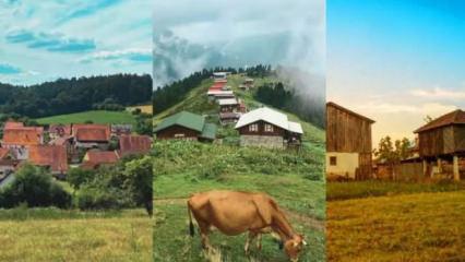 T&uuml;rkiye'nin en ilgin&ccedil; k&ouml;y isimleri belli oldu