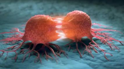 Kanser h&uuml;crelerini &ouml;ld&uuml;r&uuml;yor! Yeni tedavi y&ouml;ntemi şaşkına &ccedil;evirdi