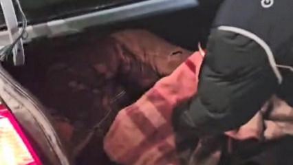 Kars'ta ara&ccedil;ların bagajında 2 d&uuml;zensiz g&ouml;&ccedil;men yakalandı!