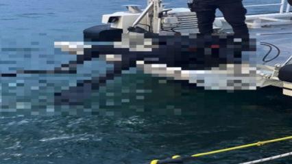 Kocaeli'de bulunan dalgı&ccedil; kıyafetli cesedin sırrı &ccedil;&ouml;z&uuml;ld&uuml;