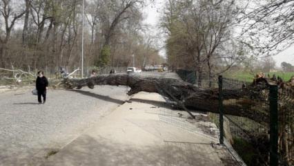 Marmara&rsquo;nın batısı i&ccedil;in &lsquo;fırtına&rsquo; uyarısı