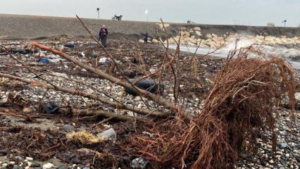 Selin vurduğu Mersin'de sahile akın edip teker teker topladılar