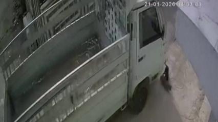 Adana'da iki kediyi ezmişti: Mahkemeden unutulamayacak ceza