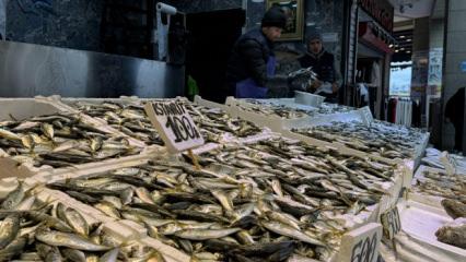 Trabzon'da balık&ccedil;ı tezgahlarında istavrit ilgi g&ouml;r&uuml;yor