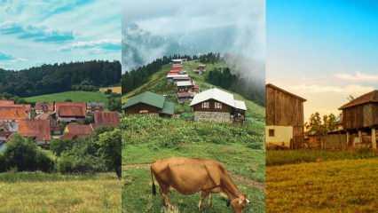 T&uuml;rkiye'nin en ilgin&ccedil; k&ouml;y isimleri belli oldu: Duyanlar ger&ccedil;ek olduğuna inanmakta zorlandı!