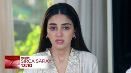 Sır&ccedil;a Saray 25.b&ouml;l&uuml;m: Uşna'ya babaanne darbesi