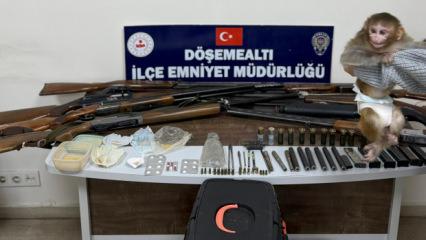 Antalya'da uyuşturucu operasyonu: 3 g&ouml;zaltı