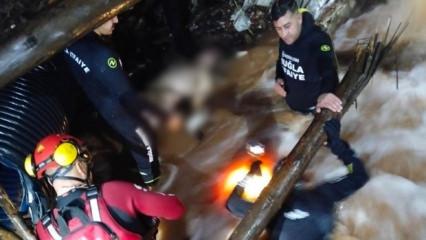 Arkadaşının s&ouml;z&uuml;n&uuml; dinlemedi, sonu acı oldu! Muğla'da feci olay