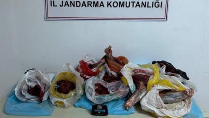 Artvin'de 60 kilo yaban domuzu eti ele ge&ccedil;irildi