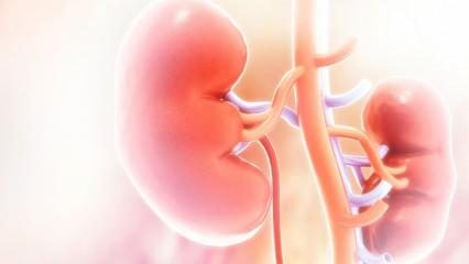 B&ouml;brek hastalarında beslenmede tek &ccedil;&ouml;z&uuml;m: Parmak izi gibi kişiye &ouml;zel diyet