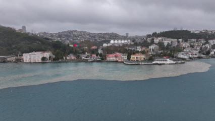 İstanbul'da kuvvetli yağışın ardından dereden Boğaz'a &ccedil;amur aktı