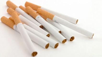 &Ccedil;ocuk parkları ve plajlarda sigara yasaklanacak mı?