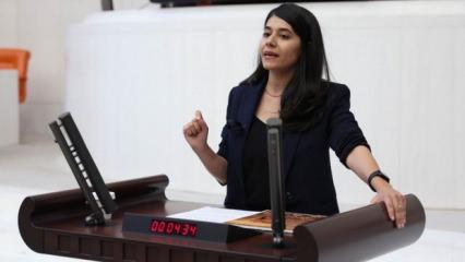 DEM'li vekilden akla ziyan iddia: K&uuml;rtlere K&uuml;rt oldukları i&ccedil;in trafik cezası kesiliyor