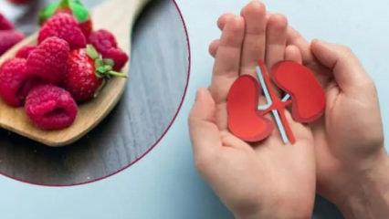 Her lokması koruyucu kalkan: B&ouml;brekleri koruyan en etkili besinler!