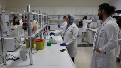 D&uuml;nyada en &ccedil;ok T&uuml;rkiye'de var: Antikanser &ouml;zelliği tıp d&uuml;nyasını harekete ge&ccedil;irdi!