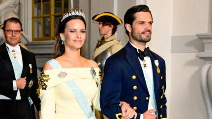 İsve&ccedil; Prensesi Sofia mide bulandıran Epstein dosyasında! Film daveti ortalığı karıştırdı