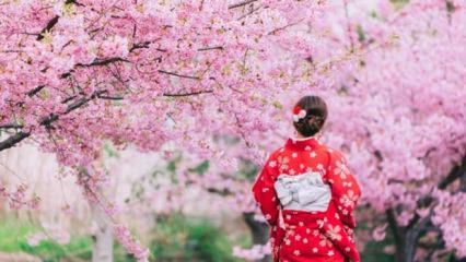 Japonya'nın simgesi olan festival aşırı turizm nedeniyle iptal edildi