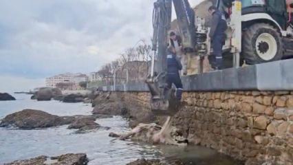 Kimse nereden geldiğini anlayamadı! &Ccedil;anakkale'de denizde şaşırtan g&ouml;r&uuml;nt&uuml;