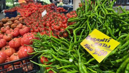 Seraları su bastı, kilosu 250 TL'ye y&uuml;kseldi!