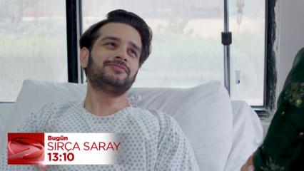 Sır&ccedil;a Saray'da S&uuml;fyan yaptıklarının cezasını &ccedil;ekiyor! Vazge&ccedil;ecek mi?