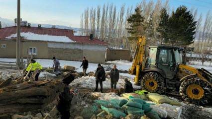 Sivas'ta besiciyi kahreden manzara: 40 koyun telef oldu 