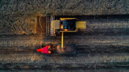 Son yağışlar buğdayda rekor &uuml;retim beklentisini b&uuml;y&uuml;tt&uuml;