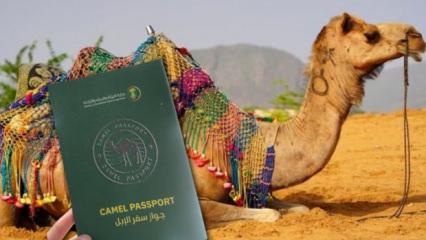 Suudi Arabistan develere pasaport verecek! H&uuml;k&uuml;metten yeni d&uuml;zenleme