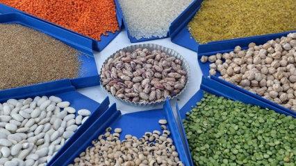 Tarım, gıda ve i&ccedil;ecek sekt&ouml;r&uuml;nden 2025'te 27,79 milyar dolarlık ihracat