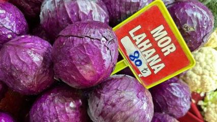 Tarlada 5 lira, pazarda 80 lira: Hepsi tarlada kaldı