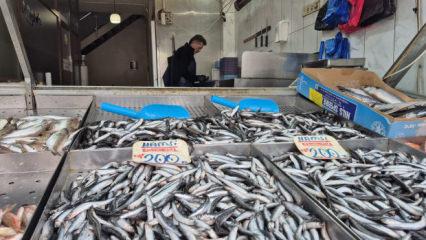 Tezgahlarda hamsi d&ouml;nemi kapandı: Artık yeni kral o! Kilosu 100 lira