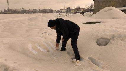 İlgin&ccedil; olayın adresi Muş! Beyaz kar bir gecede kahverengiye d&ouml;n&uuml;şt&uuml;