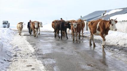 Devlet desteği bir ailenin hayatını değiştirdi: 'Yılda 8 milyon lira kazanıyoruz'