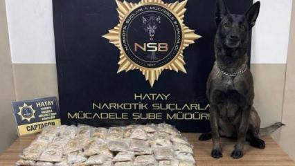 Zeytinyağı tenekelerinden 100 bin uyuşturucu hap &ccedil;ıktı