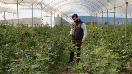 14 Şubat &ouml;ncesi sevgilileri &uuml;zecek haber! Fiyatları daha da y&uuml;kselecek