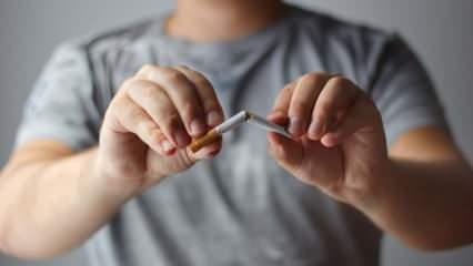 9 Şubat D&uuml;nya Sigarayı Bırakma G&uuml;n&uuml;'nde uzmanından &ccedil;arpıcı uyarılar!