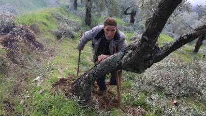 78 yıldır tek bacakla yaşıyor! Mehmet amcanın yaşam azmi ders verdi
