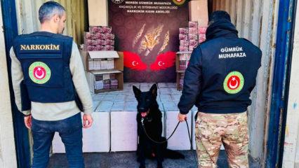 G&uuml;mr&uuml;k muhafaza ekiplerinden zehir tacirlerine 4,6 milyar liralık dev darbe