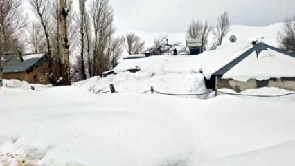 Kar Van&rsquo;ı esir aldı: Mahalleler izole oldu, evler kara g&ouml;m&uuml;ld&uuml;