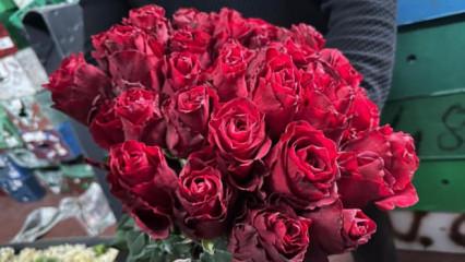 Kırmızı g&uuml;l&uuml; yağış vurdu: Yerli g&uuml;ller 200-250 lira